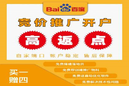 某行业领军企业的SEM广告投放策略